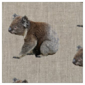 かわいいコアラの写真のプリント ファブリック (クローズアップ)