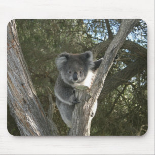 かわいいコアラの木登り写真 マウスパッド