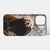 かわいいコアラの熊 iPhoneケース (裏面横)