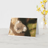 かわいいコアラの誕生日パーティー カード (黄色い花)