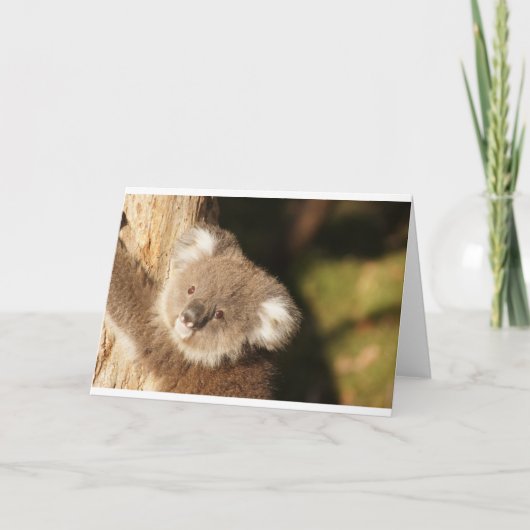 かわいいコアラの誕生日パーティー カード (正面)