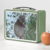 かわいいコアラを木の食べ物の緑に メタルランチボックス (インサイチュ)