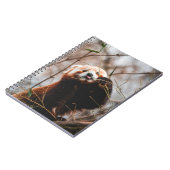 かわいいコアラクマ ノートブック (左側)