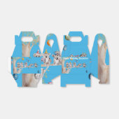 かわいいコアラコアラスガールズお誕生日ケーキフアビーボックス フェイバーボックス (折り畳みなし)