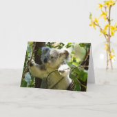 かわいいコアラベアの運命自然オーストラリアのアウトバック カード (黄色い花)