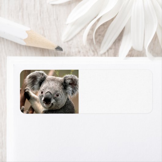 かわいいコアラベア ラベル (インサイチュ)
