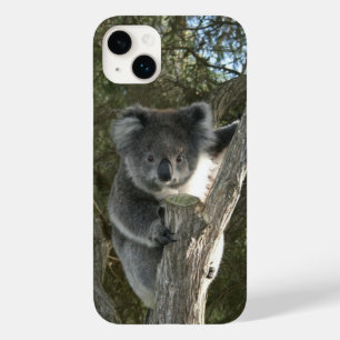 かわいいコアラ登山aツリー写真 Case-Mate iPhone 14 plusケース