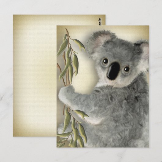 かわいいコアラ ポストカード (正面/裏面)