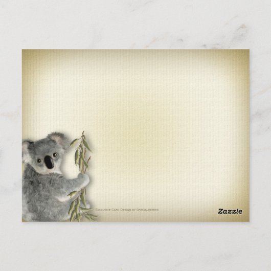 かわいいコアラ ポストカード (裏面)