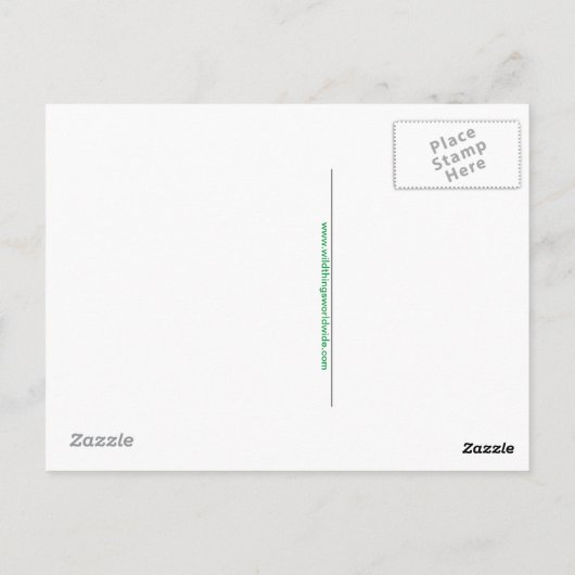 かわいいコアラ – 動物愛好家 – 野生動物 – 有袋類 ポストカード (裏面)