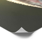 かわいいコアラ 赤ちゃんコアラのベビー部屋  ポスター (角)