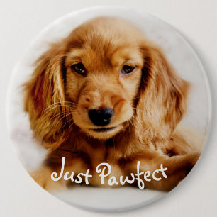 かわいいコッカースパニエル犬のバッジかPin 缶バッジ