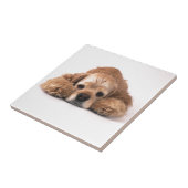 かわいいコッカースパニエル タイル (側面)