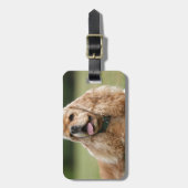 かわいいコッカースパニエル ラゲッジタグ (正面縦)