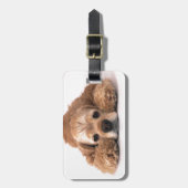 かわいいコッカースパニエル ラゲッジタグ (正面縦)