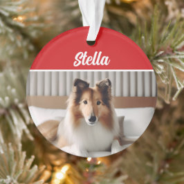 かわいいコリードッグホリデークリスマスフォト オーナメント