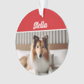 かわいいコリードッグホリデークリスマスフォト オーナメント (正面)