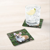 かわいいコルギ犬が跳ぶ スクエアペーパーコースター (インサイチュ)