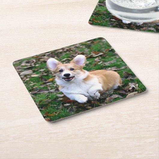 かわいいコルギ犬が跳ぶ スクエアペーパーコースター (アングル)