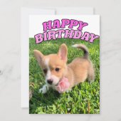 かわいいコーギパピードッグフォトピンクハッピーバースデー カード (正面)