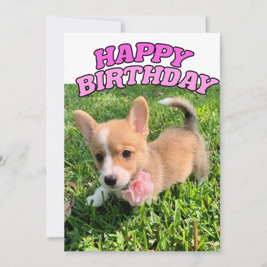 かわいいコーギパピードッグフォトピンクハッピーバースデー カード (正面)