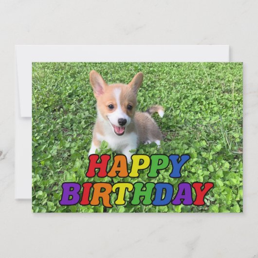 かわいいコーギパピードッグ写真虹誕生日 カード (正面)