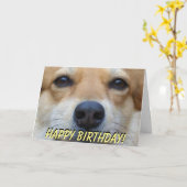 かわいいコーギーのバースデー・カード カード (黄色い花)