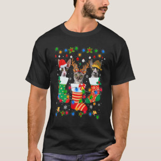 かわいいコーニッシュ+レックス+猫+子猫+クリスマス+ソックス Tシャツ