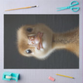 かわいいゴスリングポートレートデコパージュ 薄葉紙 (クラフト)