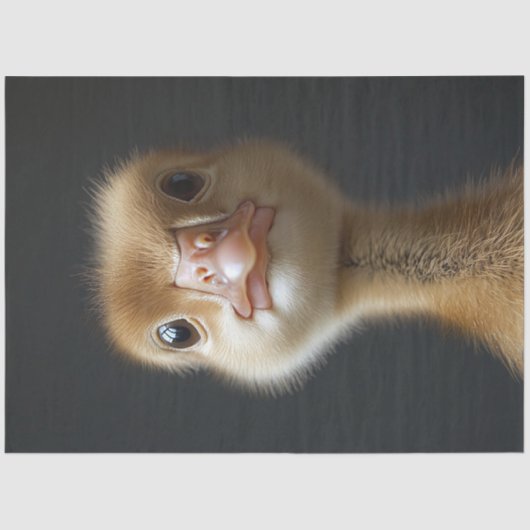 かわいいゴスリングポートレートデコパージュ 薄葉紙 (正面)