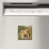 かわいいゴパール草原の犬野生動物の磁石 マグネット (インサイチュ (食洗機))