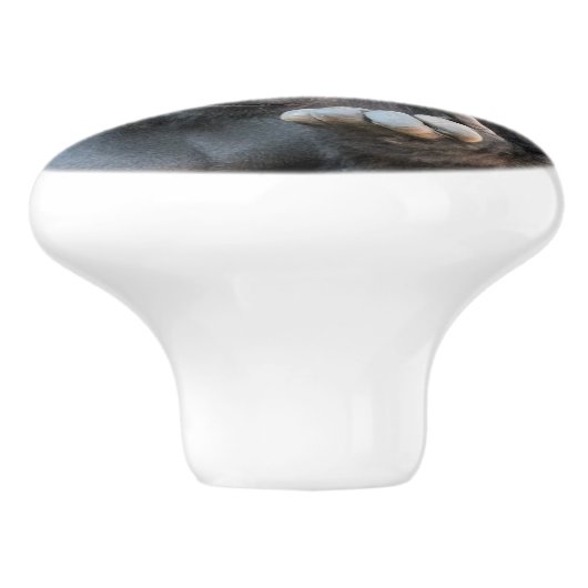 かわいいゴリラ セラミックノブ (側面)