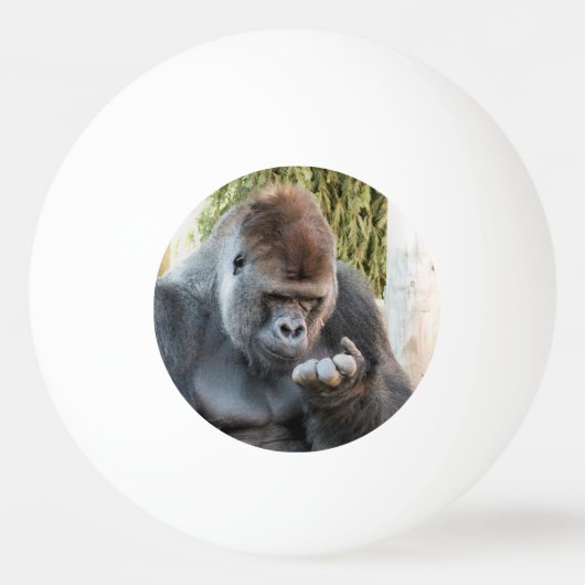 かわいいゴリラ 卓球ボール (正面)