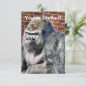 かわいいゴリラ 案内状 (スタンド正面)