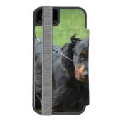 かわいいゴードンセッター INCIPIO iPhoneウォレットケース (フォリオ裏面)