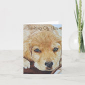 かわいいゴールデンリトリバーの子犬ポートレート カード (正面)