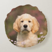 かわいいゴールデンレトリエバードッグパピーポートレート – 滑らかな ラウンドクッション (裏面)