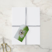 かわいいゴールデンレトリエバーパピードッググリーングラス ギフトタグ (より糸付き)