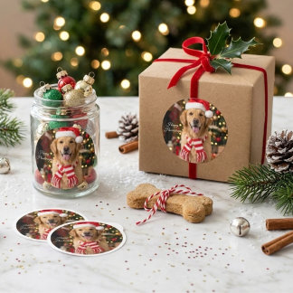 かわいいゴールデンレトリバーのクリスマス ラウンドシール
