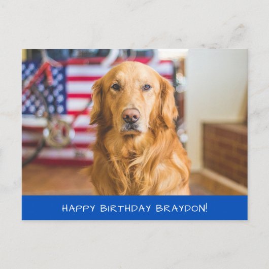 かわいいゴールデンレトリバーの犬 ポストカード (正面)