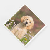 かわいいゴールデンレトリバードッグパピー顔動物写真 (コーナー)