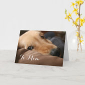 かわいいゴールデンレトリバー母の日 カード (黄色い花)