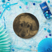 かわいいゴールデンレトリバー犬が倒れる ペーパープレート (パーティー)