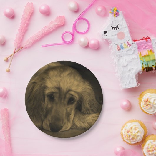 かわいいゴールデンレトリバー犬が倒れる ペーパープレート (パーティー)
