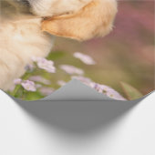 かわいいゴールデン・リトリーバー犬の子犬のポートレート、ギフト ラッピングペーパー (角)