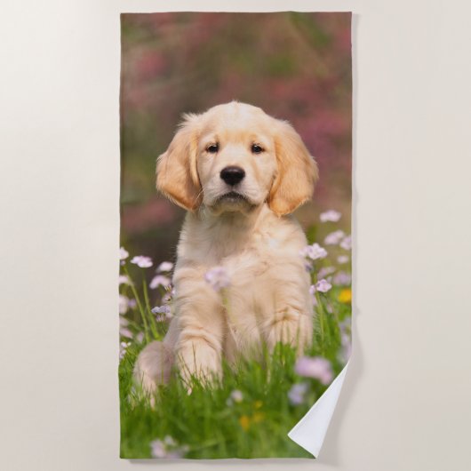 かわいいゴールデン・リトリーバー犬の子犬の顔動物の写真 ビーチタオル (正面)