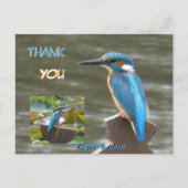 かわいいサギの顧客感謝ハガキ ポストカード (正面)