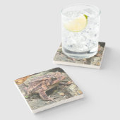 かわいいサザンヒキガエル ストーンコースター (横)