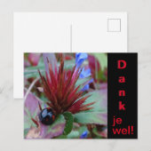 かわいいサソリの顧客向け感謝ポストカード ポストカード (正面/裏面)