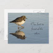 かわいいサディパーの鳥やる気を起こさせるはがき ポストカード (正面/裏面)